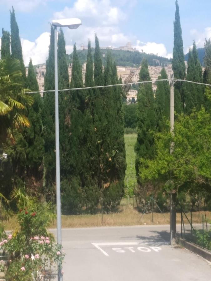 Double or Twin Room Balcony,1167298381:JPEG